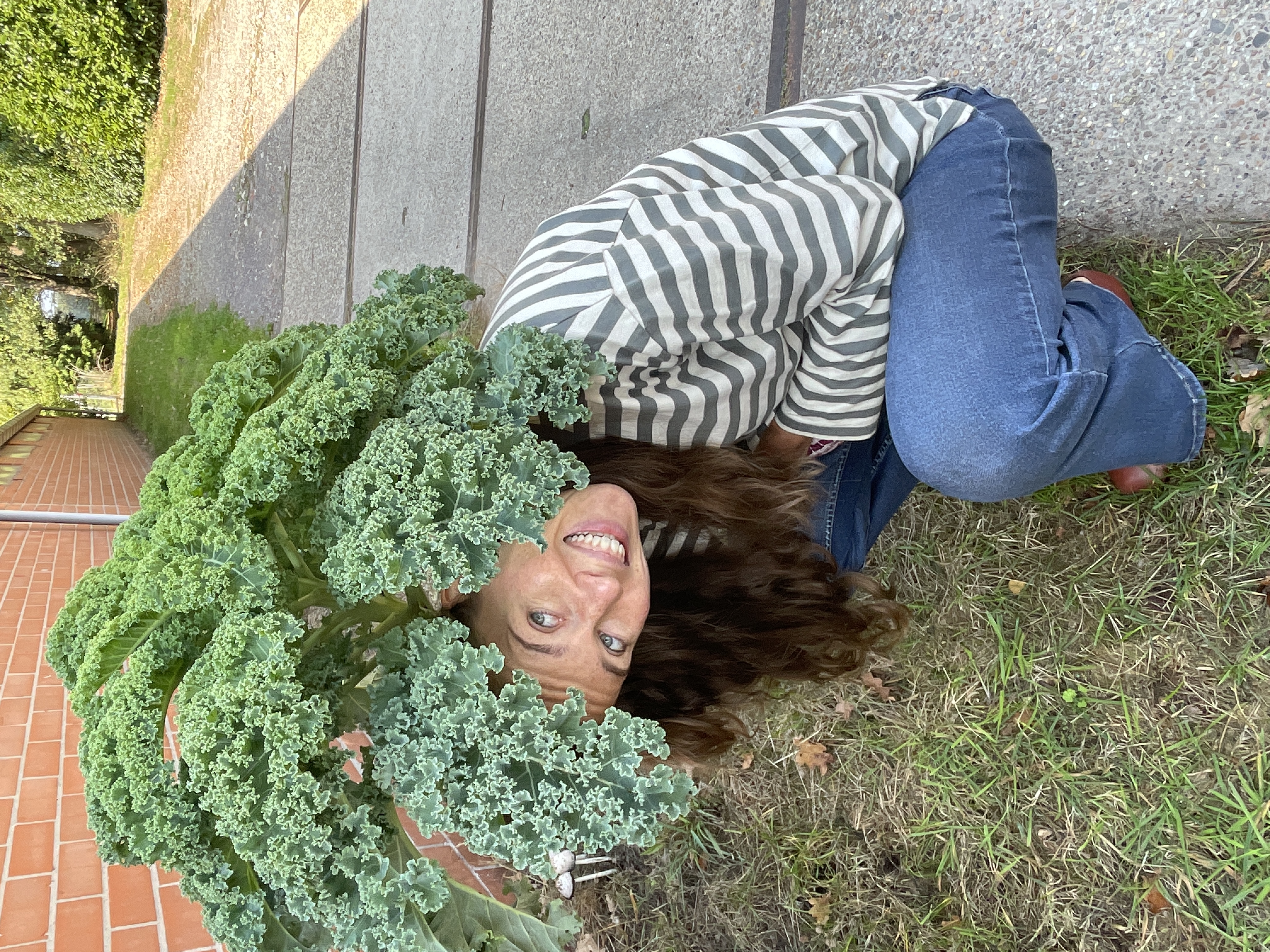 Лиза — преподаватель английского